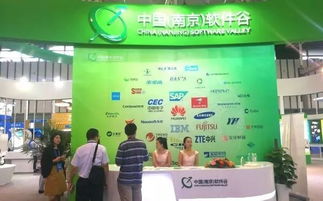 第十三屆中國南京國際軟件產品和信息服務交易博覽會盛大開幕，聚焦信息咨詢服務新趨勢